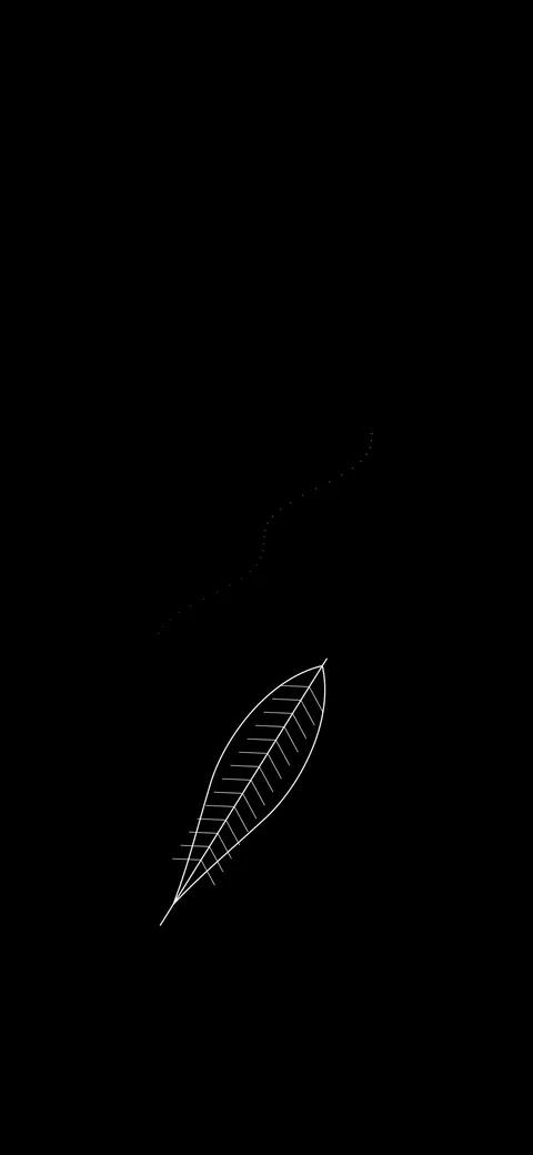 Falling Feather, amoled phone wallpaper