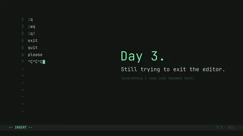 Day 3: Still Trying to Exit the Editor, developer desktop wallpaper